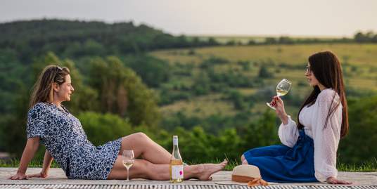 Borturista: Látogass el hozzánk, vár az eszményi Neszmély!