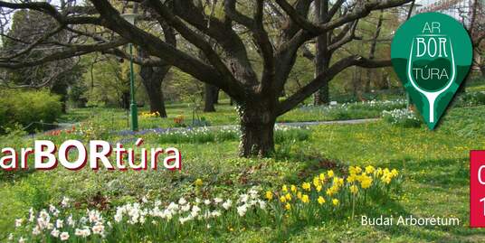 arBORtúra